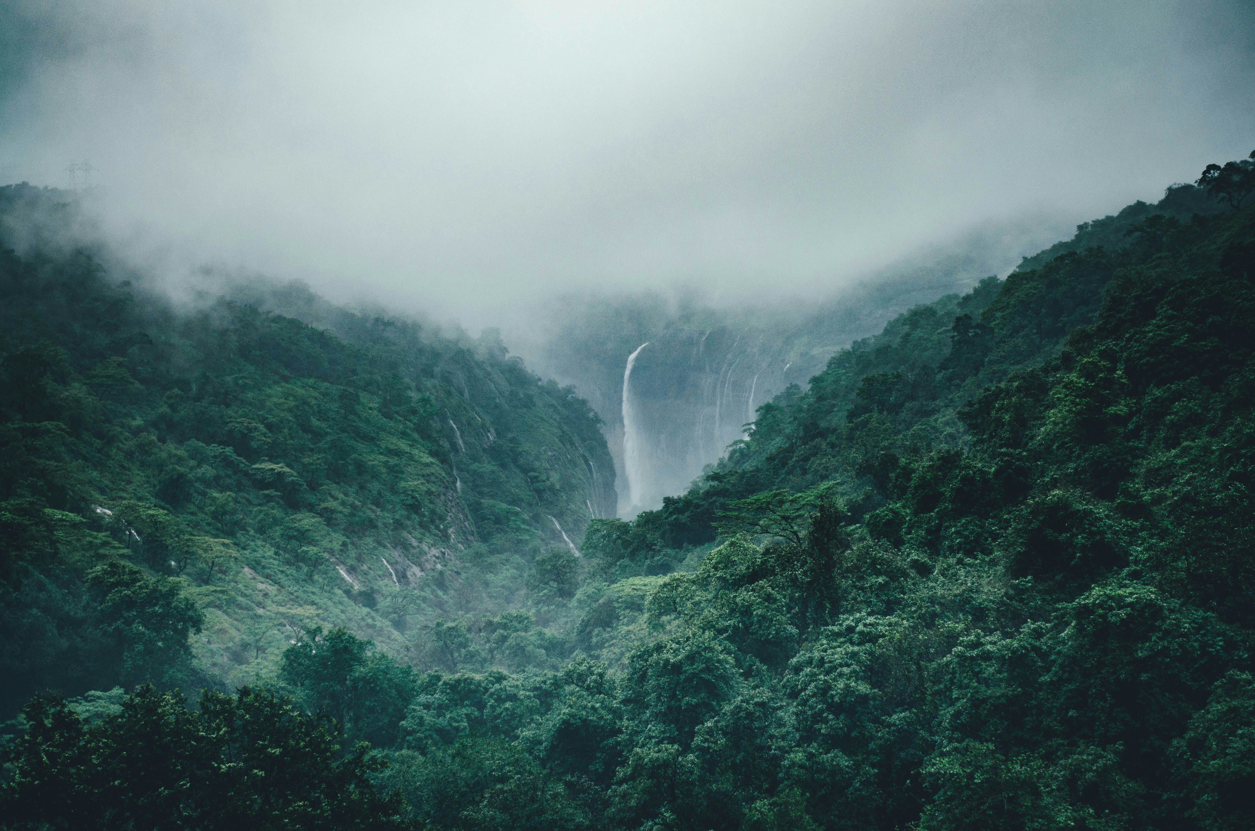 Podcast: Nature-Based Solutions for Climate Resilience